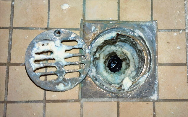 https://blockeddrainshighwycombe.com.au/uploads/2025/07/blocked-shower-drains-33151.jpg
