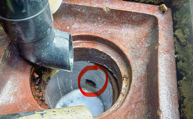 https://blockeddrainshighwycombe.com.au/uploads/2025/07/hero-blocked-sewers-17074.jpg